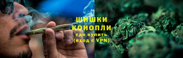 прущие грибы Липки