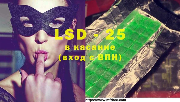прущие грибы Липки