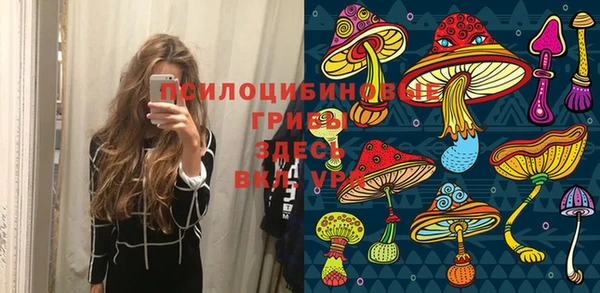прущие грибы Липки