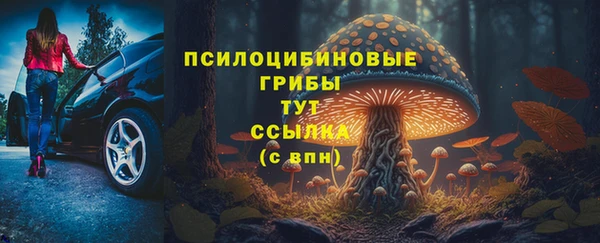 прущие грибы Липки