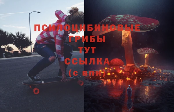 ПСИЛОЦИБИНОВЫЕ ГРИБЫ Лиски