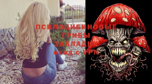 ПСИЛОЦИБИНОВЫЕ ГРИБЫ Лиски